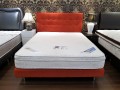 Sleeppost Spine Support Specialist - Spring Mattress