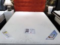 Sleeppost Spine Support Specialist - Spring Mattress