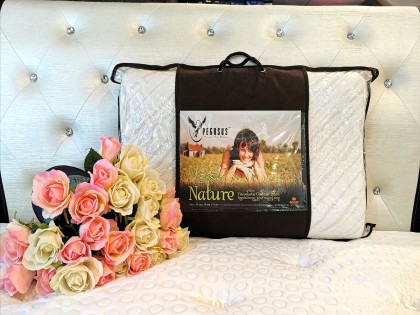 Pegasus Contour Memory Foam Pillow