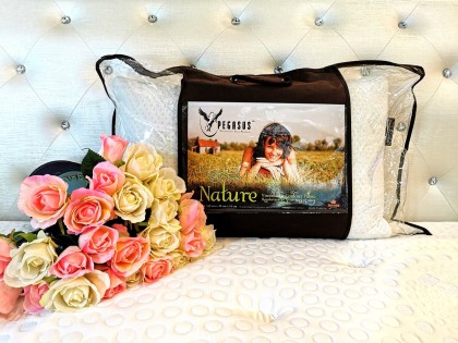 Pegasus Memory Foam Pillow