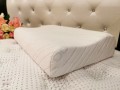 Pegasus Contour Memory Foam Pillow
