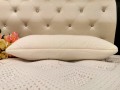 Pegasus Memory Foam Pillow