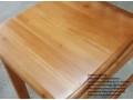 Sea Horse Foam Mattress + Wooden Bedframe ( Bundle Set )